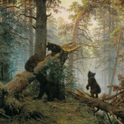 Morning in a Pine Forest
